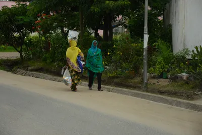 DSC_8759 (Large).JPG